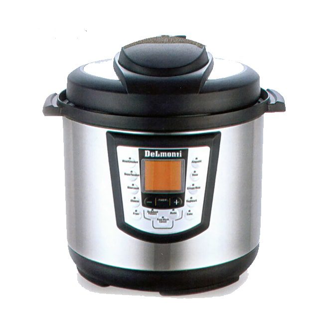 زودپز 1000 وات چندکاره دلمونتی DL490D