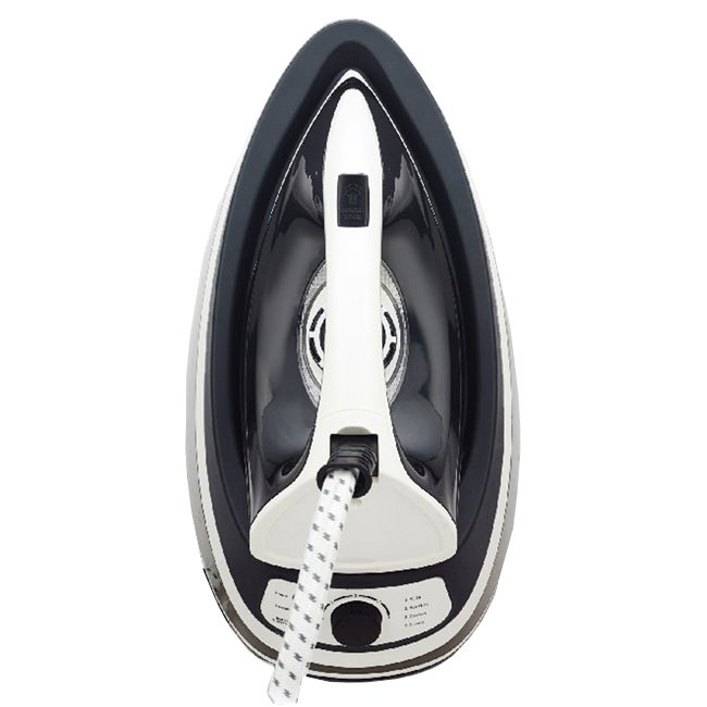 اتو بخار مخزن دار روگن 2200 وات 2 لیتر Rugen RU1030